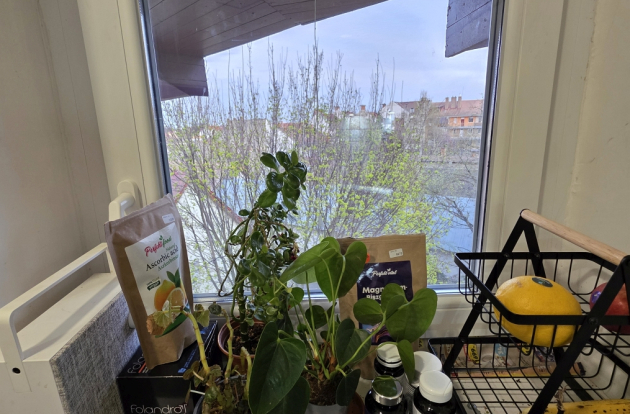 Belvárosi elegancia és kényelem - Kétszintes álomotthon Kecskemét legkedveltebb részén